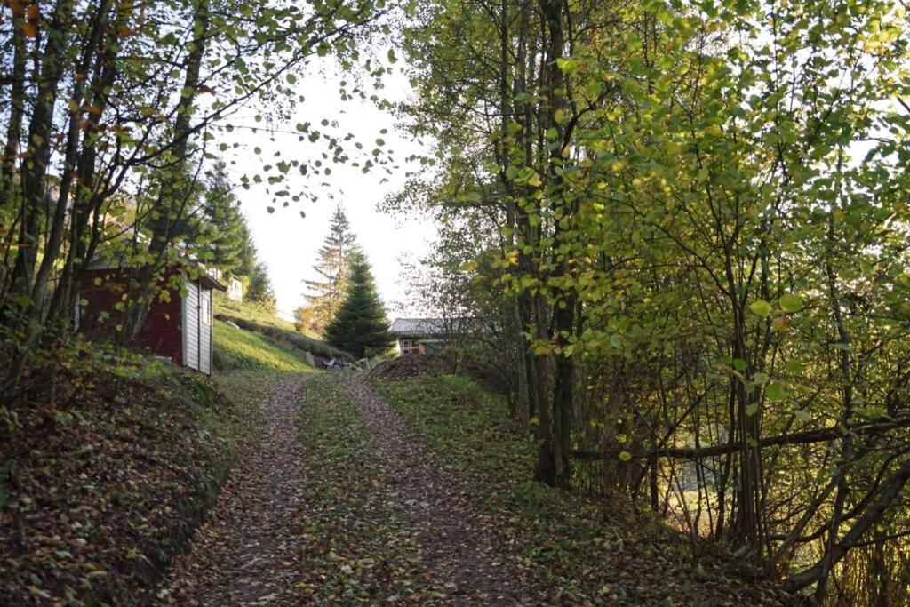 Ferienhaus Hellaberg Langenbach (Thuringia) Exterior foto