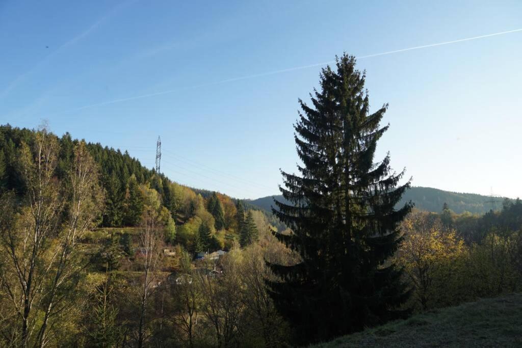 Ferienhaus Hellaberg Langenbach (Thuringia) Exterior foto