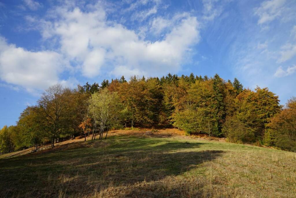 Ferienhaus Hellaberg Langenbach (Thuringia) Exterior foto